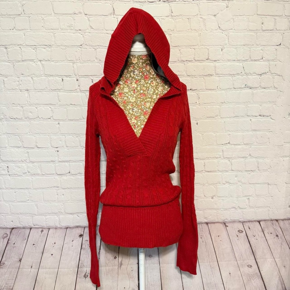 2010 American Eagle Outfitters Hooded Sweater
